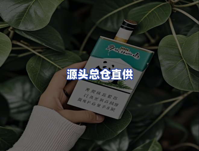 专业团队